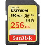 Carte mémoire flash - SANDISK -  - 256GB -  -  (SDSDXV5-256G-GNCIN)