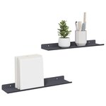 vidaXL Étagère flottante 2 Pièces Anthracite 40 x 8 5 x 2 5 cm Acier