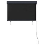 vidaXL Store roulant d'extérieur 100 x 250 cm Anthracite