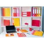 Classeur 4 Anneaux 30mm Iderama Pp Polypropylène 7/10e - A4 Maxi - Rose - X 10 - Exacompta