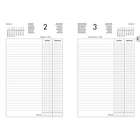 LECAS Comptoir Agenda Recettes/Dépenses 2024 - 140 x 220 mm