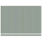 vidaXL Auvent rétractable électrique Vert  Blanc  Anthracite 5 x 3 m