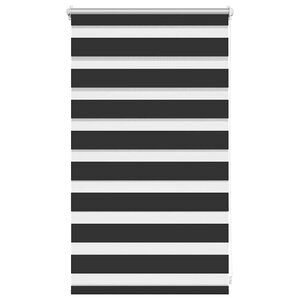 vidaXL Store enrouleur tamisant 50 x 100 cm noir