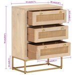 vidaXL Commode 55x30x76 cm bois massif de manguier et fer