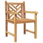 vidaXL Chaises de jardin 2 Pièces Marron 58 x 60 x 90 cm