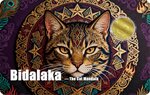 Pièce de monnaie en Or 30 Dollars g 0.155 (1/200 oz) Millésime 2026 Mandala CAT (PRÉCOMMANDE)