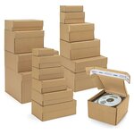 Boîte postale carton brune avec fermeture adhésive  31x22x15 cm (lot de 20)