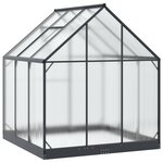 vidaXL Serre de jardin avec porte Anthracite 183 5 x 183 5 x 207 cm