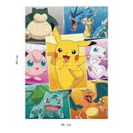 Pokemon - puzzle 250 pieces - types de pokémon - nathan