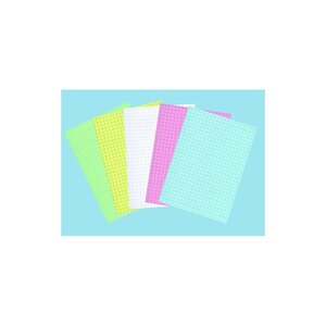 ELVE 100 FICHES BRISTOL 210X297 - Quadrillé 5/5 - Blanc
