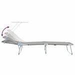 vidaXL Transat 2-personne 2 Pièces Gris 58 x 188 x 77cm tissu