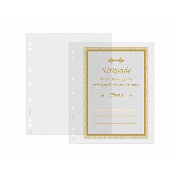 Paquet de 10 feuilles leuchtturm numis 1c pour 1 billet de banque ou scripophilie (304653)