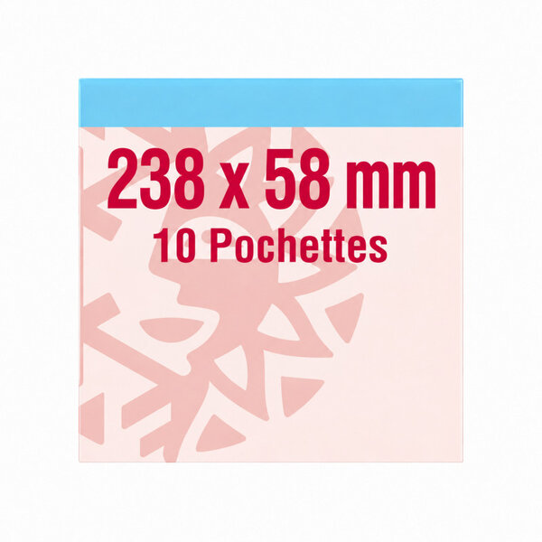 Pochettes double soudure 238 x 58 mm pour carnets personnages célèbres. Fond - Transparent