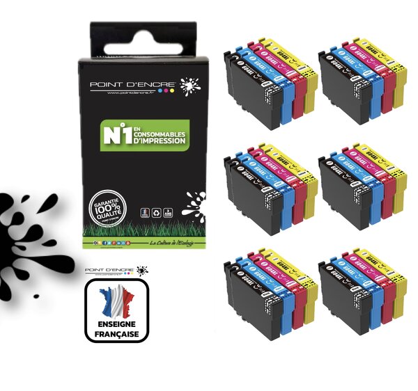 604XL - Ananas - 6 X Pack de 4 Cartouches D'encre
