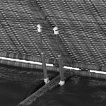 vidaXL Boîte à coussins de jardin Résine tressée 291x100 5x104 cm Gris