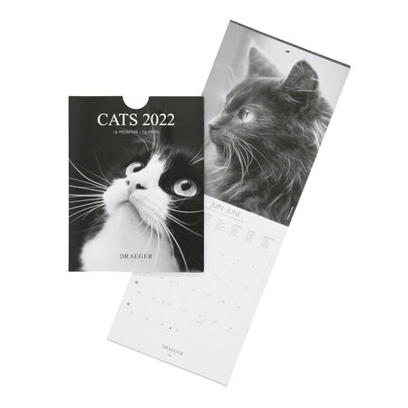 Petit calendrier mural chats noir et blanc - 2022 - draeger paris
