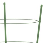 vidaXL Supports pour plantes de jardin 3 anneaux 5Pièces Vert 60 cm Acier