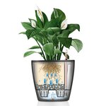 Lechuza jardinière classico 43 ls all-in-one charbon métallique 16083