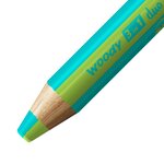 Crayon multi-talents woody 3 in 1 duo - turquoise-vert clair x 5 STABILO