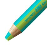 Crayon multi-talents woody 3 in 1 duo - turquoise-vert clair x 5 stabilo