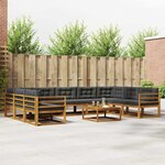 vidaXL Ensemble de canapés d'extérieur 10 Pièces Naturel et Anthracite