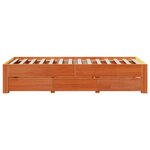 vidaXL Cadre de lit sans matelas avec tiroirs 100x200 cm bois de pin