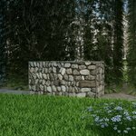 vidaXL Panier de gabion Acier galvanisé 100x50x50 cm