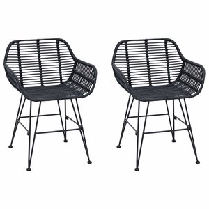 vidaXL Chaise de salle à manger 2 pc Rotin et métal Noir
