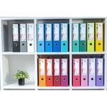 Classeur à levier Prem'Touch Revetu polypropylène - Dos 80mm - A4 maxi - Lilas x 10 EXACOMPTA