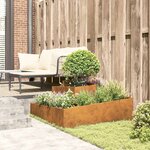 vidaXL Cache-pot de jardin Marron 100 x 100 x 50 cm Acier Corten