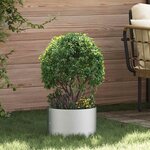 vidaXL Pots de jardin 5 Pièces Argent 30 x 30 x 20 cm Acier galvanisé