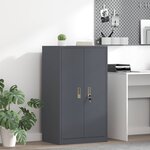 vidaXL Armoire de rangement Anthracite 60 x 40 x 105 cm Acier