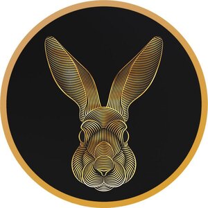 Monnaie LUNAR RABBIT V1 Argent 200 Francs Chad 2023