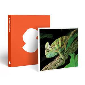 SMARTBOX - Coffret Cadeau Rencontre avec les reptiles et les amphibiens pour 2 personnes près de Mâcon -  Sport & Aventure