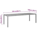 vidaXL Table de jardin 250x100x75 cm Acacia et résine tressée Noir