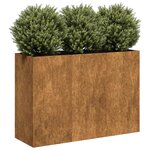 vidaXL Jardinière rouillé 120x40x80 cm acier inoxydable