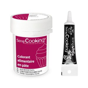 Colorant alimentaire en pâte 20 g Prune + Stylo de glaçage noir