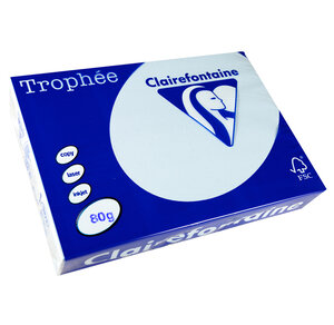 Ramette 500 Feuilles Papier 80g A4 210x297 mm Bleu CLAIREFONTAINE