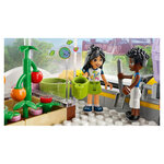 41748 Le centre collectif de heartlake city