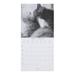 Grand calendrier mural chats noir et blanc - 2023 - draeger paris