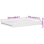 vidaXL Matelas en mousse blanc 120x220 cm dureté H2 H3