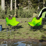 vidaXL Chaise de camping avec poche pliable lot de 2 vert