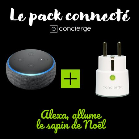 Alexa  allume le sapin : echo dot 3 + 1 prise concierge bastille