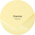 Paquet de 25 Cartes Simple 210g 70x95 chamois Clairefontaine