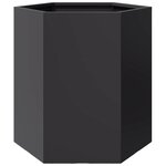 vidaXL Jardinières 2 Pièces noir hexagone 46x40x45 cm acier