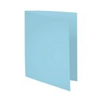 Paquet De 100 Chemises Forever® 170 100  Recyclé - 24x32cm - Couleurs Assorties - X 5 - Exacompta