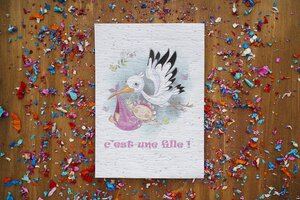 Carte à planter cigogne naissance fille