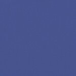 vidaXL Auvent latéral rétractable bleu 100x600 cm