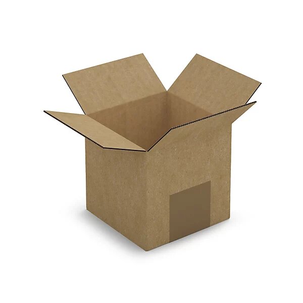 Caisse carton brune simple cannelure raja 10x10x10 cm (lot de 25)