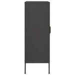 vidaXL Armoire de rangement Anthracite 80x35x101 5 cm Acier